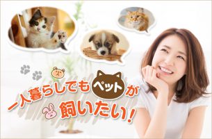 一人暮らしでもペットが飼いたい！人気の動物と費用のまとめ